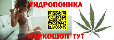 эйфоретик Сланцы