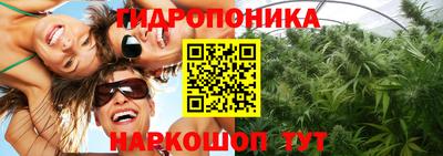 СК Славгород