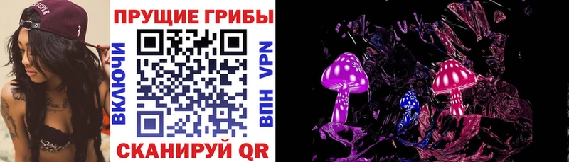 закладка  Тольятти  Галлюциногенные грибы прущие грибы 