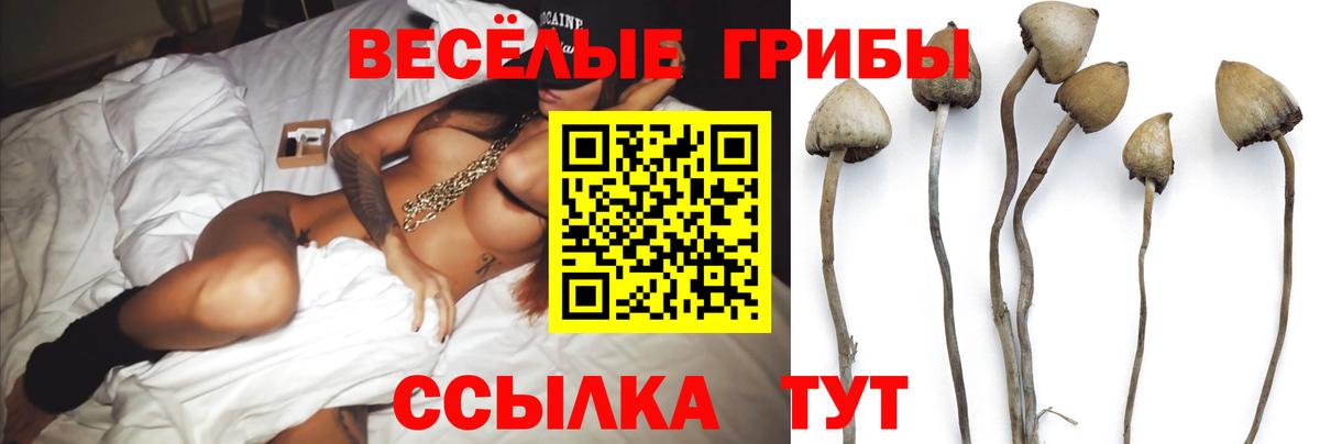 Галлюциногенные грибы MAGIC MUSHROOMS  Вход с VPN  Тольятти 
