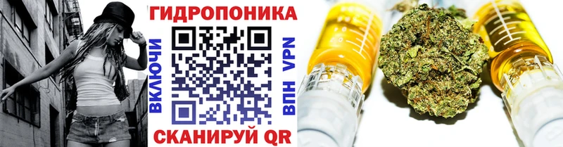 закладка  Тольятти  Канабис MAZAR 